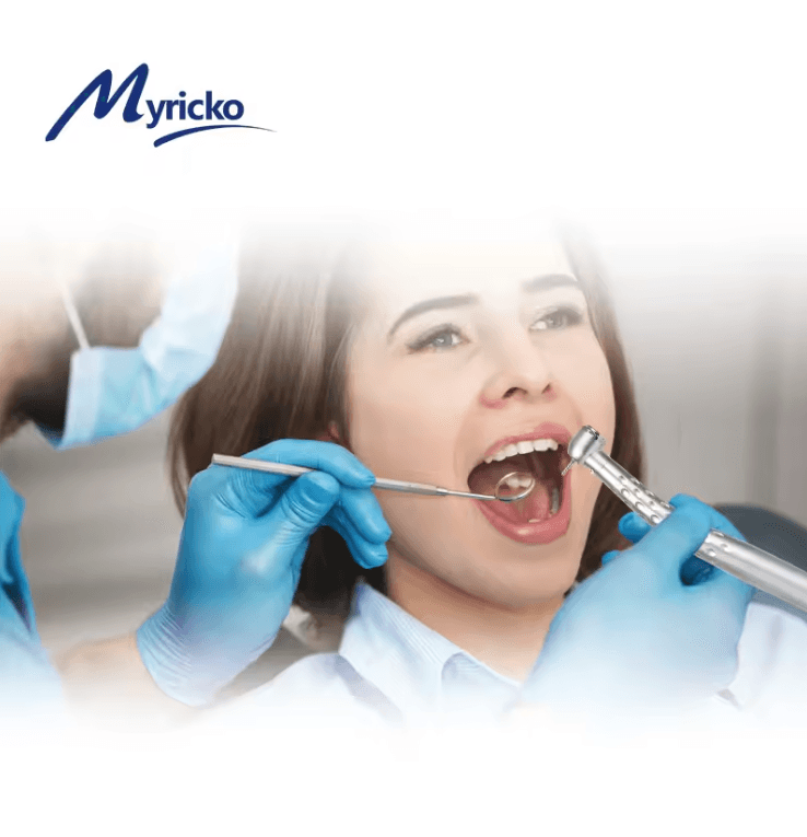 ProLite Fiber Optic LED Dental High Speed Handpiece with E-Generator