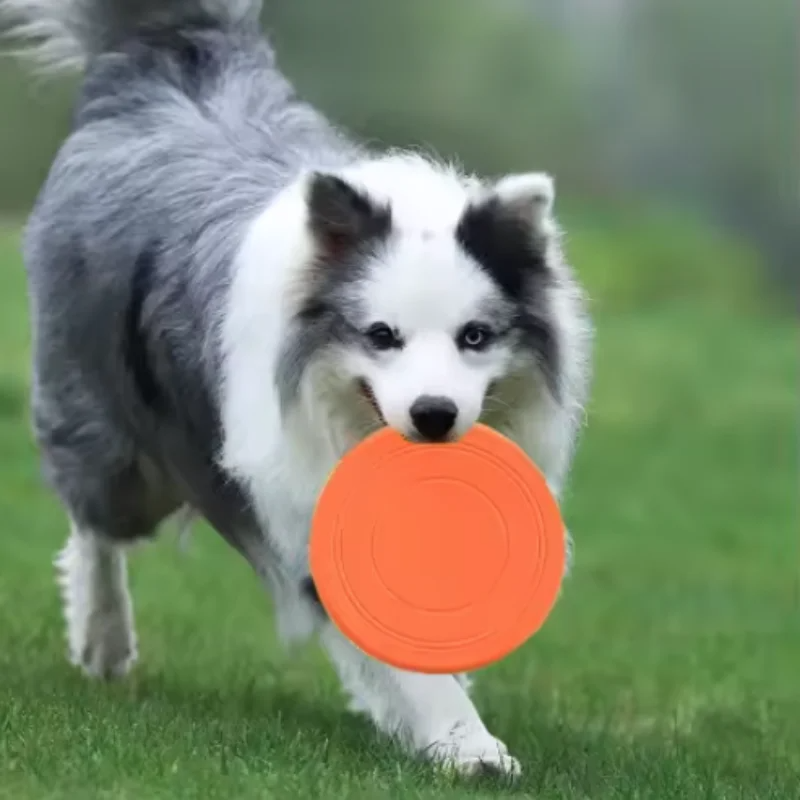 Soft Silicone Floating Dog Frisbee Toy for Training and Interactive Fetch