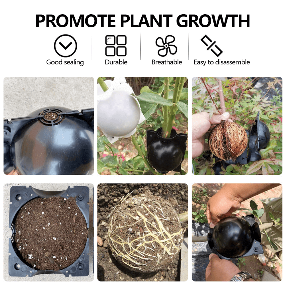 Plant Root Growing Box