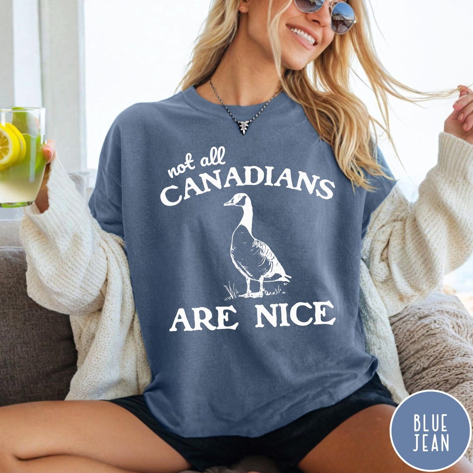 Not All Canadians Are Nice Comfort Colors Shirt, Funny Canada Shirt, Vintage Retro Graphic Canadian Goose Shirt