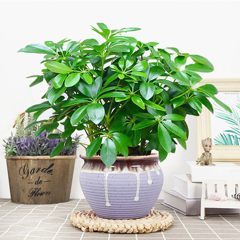 Artificial Plant, Fake Leaves With Stem, Living Room Hotel Office Decor