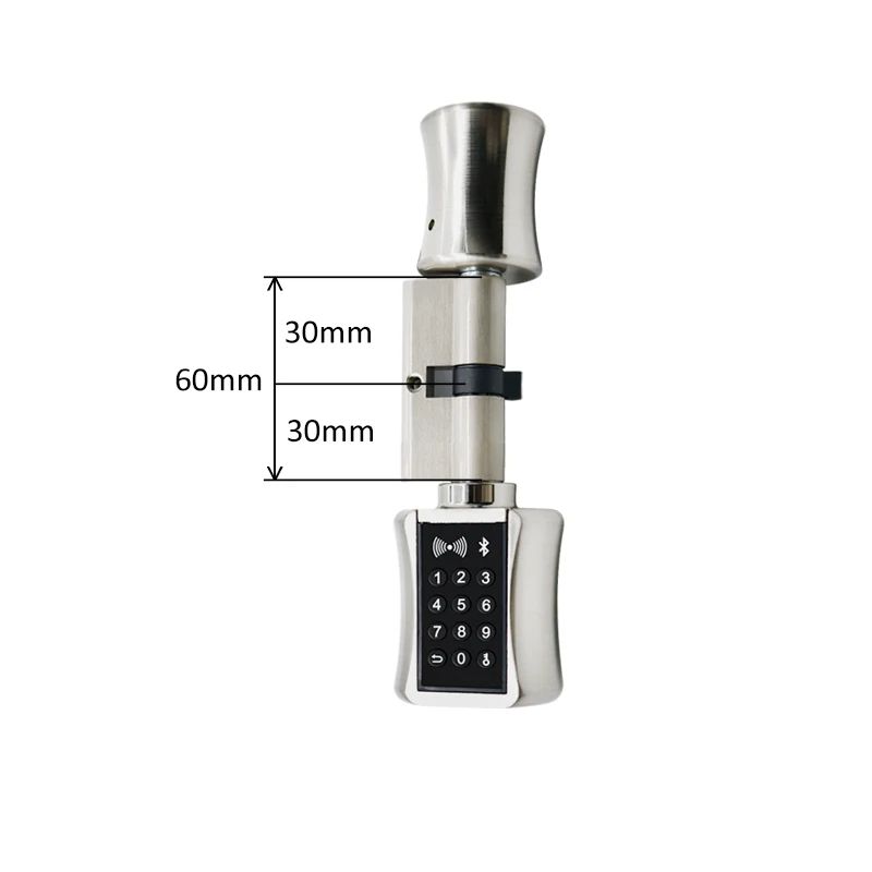 TTLock Bluetooth Smart Cylinder Lock, WiFi Smart Security Lock, APP Keypad Code, RFID Card Keyless Entry