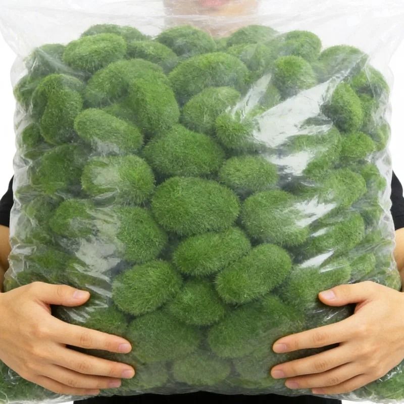 Botanical Moss Sculpture – High-Definition Elemental Architectural Ornament