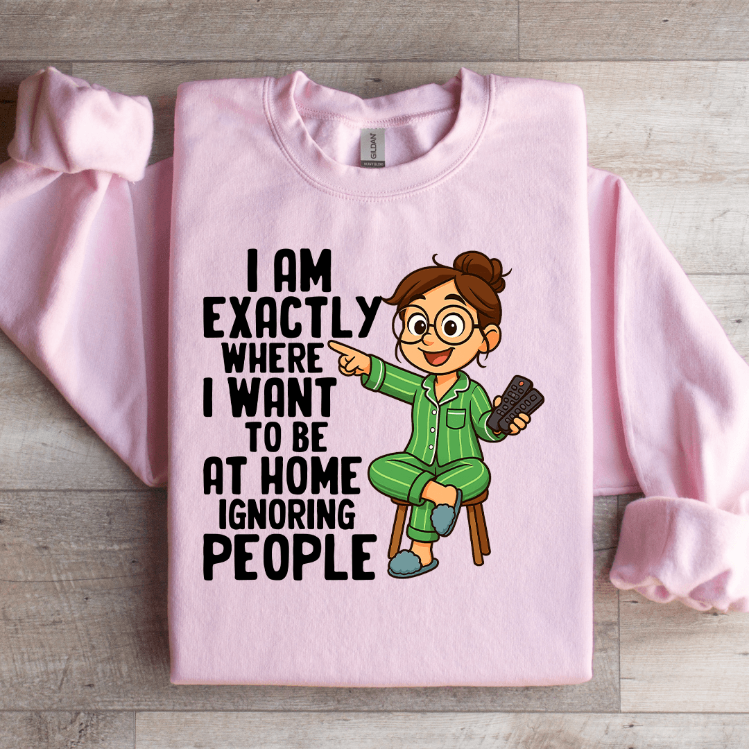 I Am Exactly Where Sweatshirt