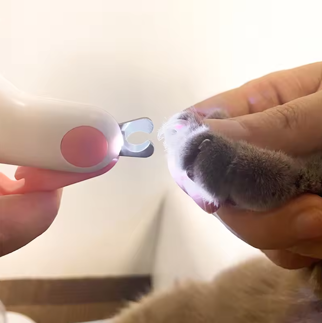 Professional Pet Claw Trimmer with Safety Lock, LED Light Cat Dog Nail Clipper Cutter, Puppy Kitten Grooming Tool Kit