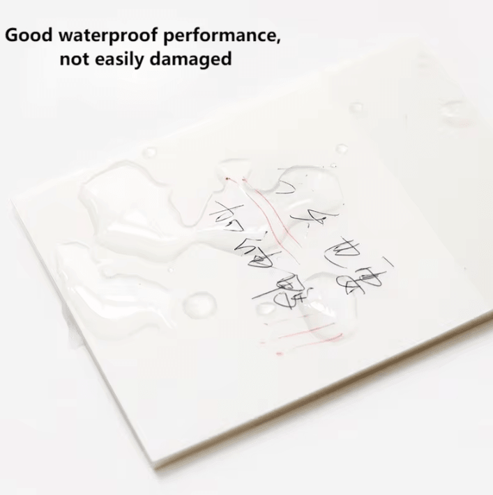 2-Piece Transparent Reusable Fluorescent Sticker Film – Removable Perspective Window Decals