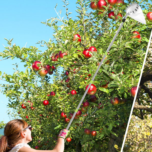 Fruit Picker Tool with Storage Bag, Metal Orchard Picking Tool, Ideal for Cherry, Berry, Orange, Lemon, Pear