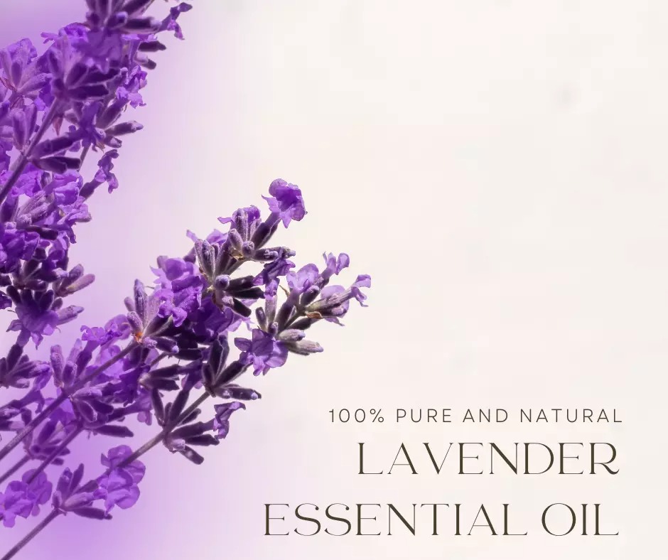 4 fl oz GreenHealth Lavender Essential Oil