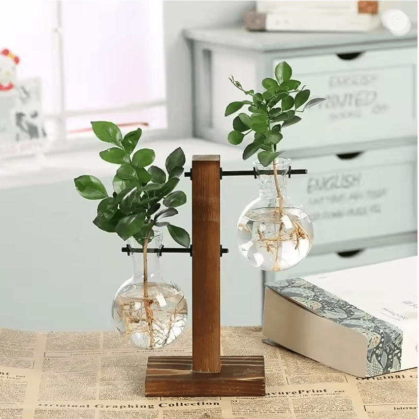 Glass Hydroponic Vase for Plants Minimalist Terrarium for Desk and Home Decor