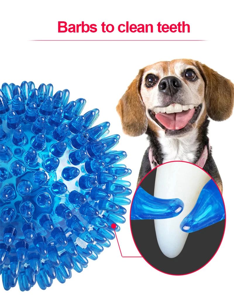 Squeaky Pet Chew Ball Toy
