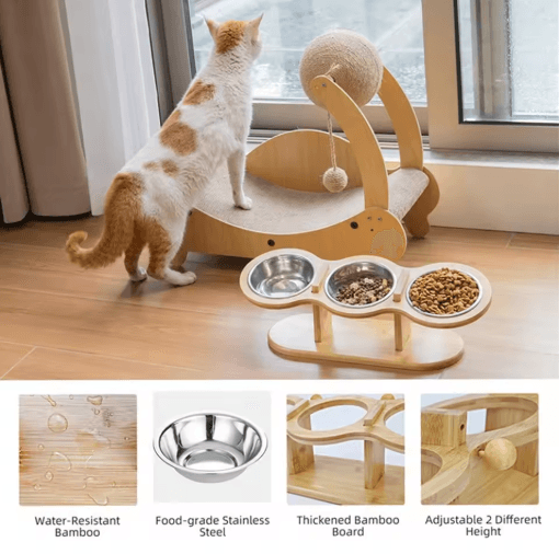 3-in-1 Raised Cat Feeder with Tilted Stainless Steel Bowls