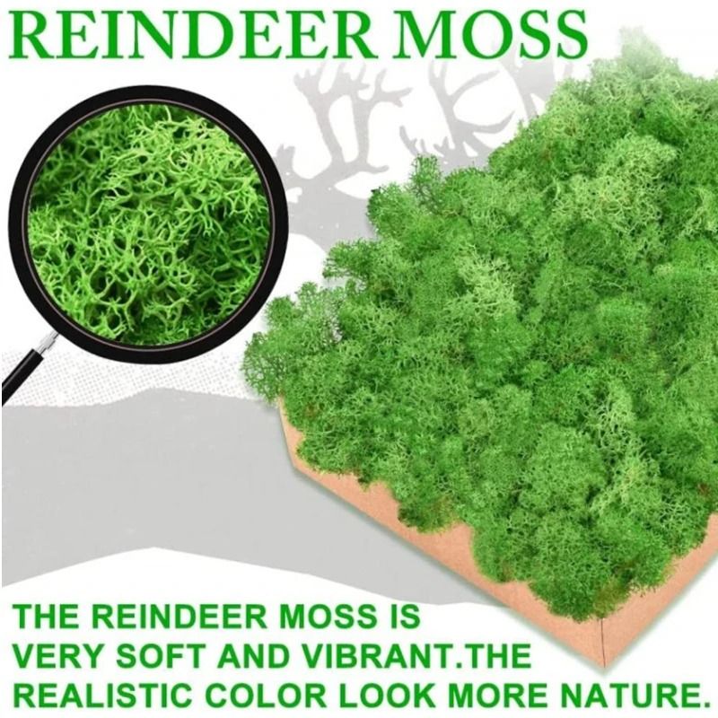 Evergreen Architectural Simulated Forest Moss