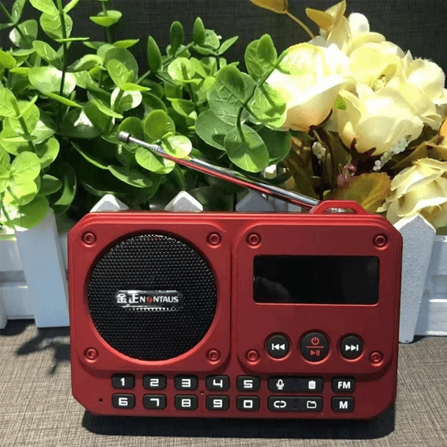 Mini Portable FM Radio with Bluetooth Speaker and TF Card Playback