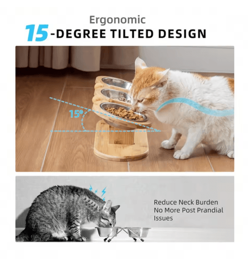 3-in-1 Raised Cat Feeder with Tilted Stainless Steel Bowls