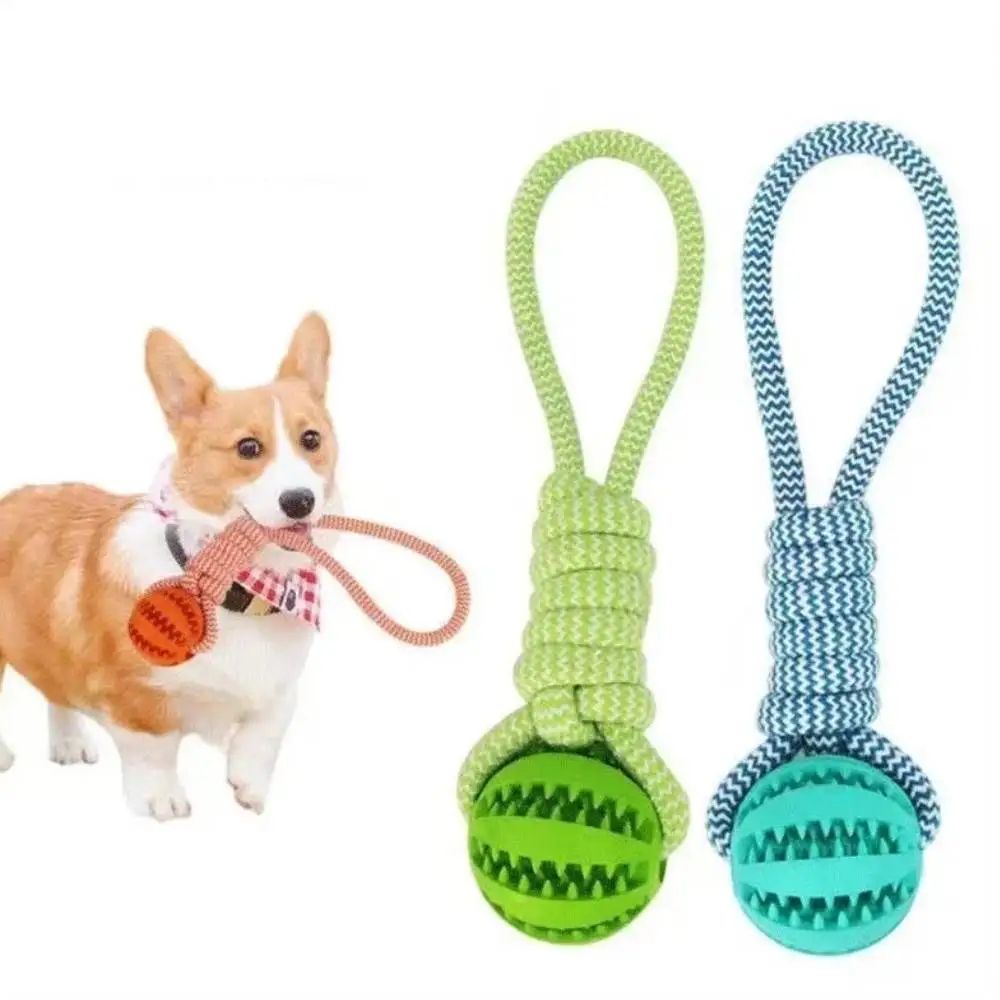 Interactive Chew And Treat Dog Toy Balls