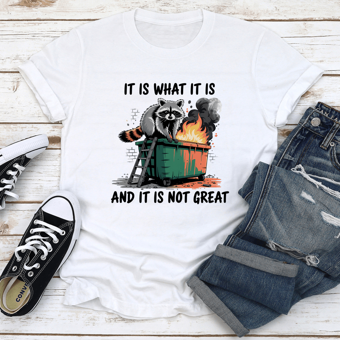 It Is What It Is And It Is Not Great Tee