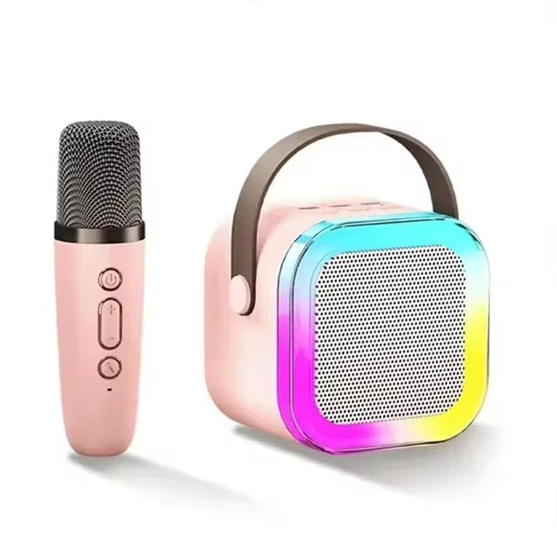 Professional Karaoke Bluetooth Speaker with Wireless Microphone