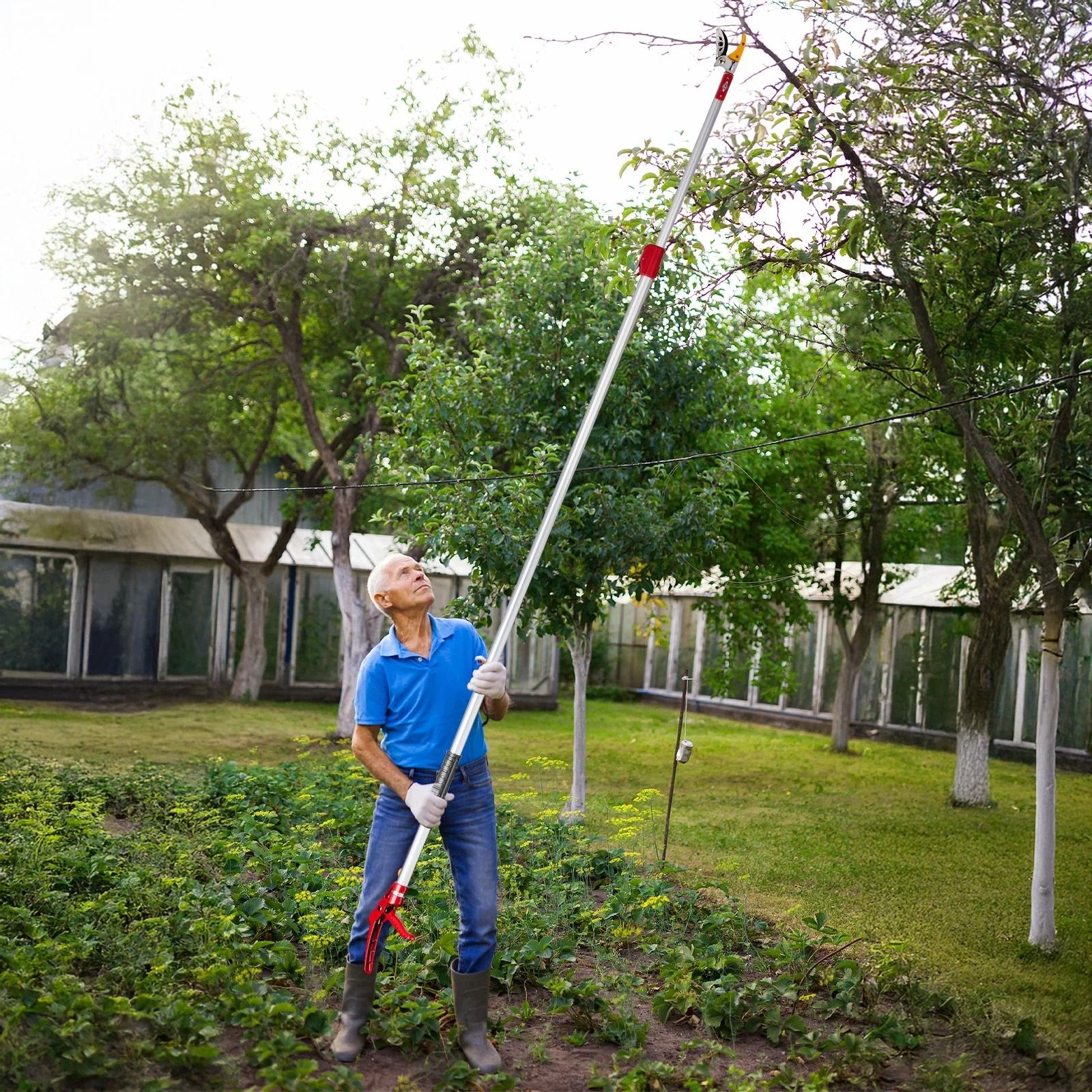 Telescopic Pole Pruner & Fruit Picker, Tree Branch Cutter, Adjustable & Lightweight
