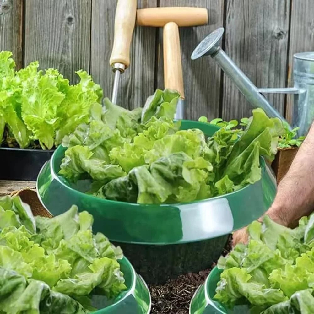 Green-Guard Seedling Protection Collars (5PC Set)
