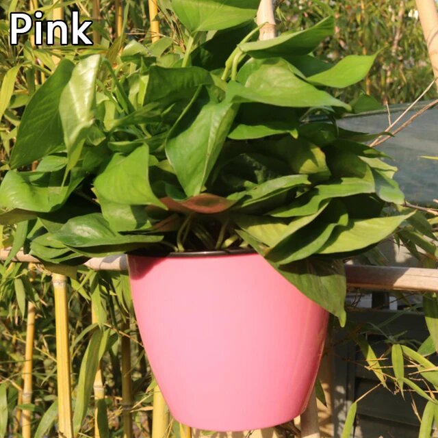 Self Watering Hanging Basket