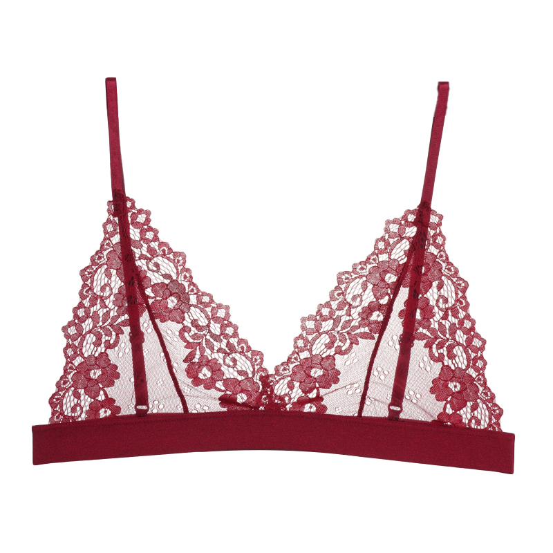 Sexy Flower Lace Bra, Women's Sexy Hollow Out Bralette, Breathable Transparent Bras, Unlined Underwear