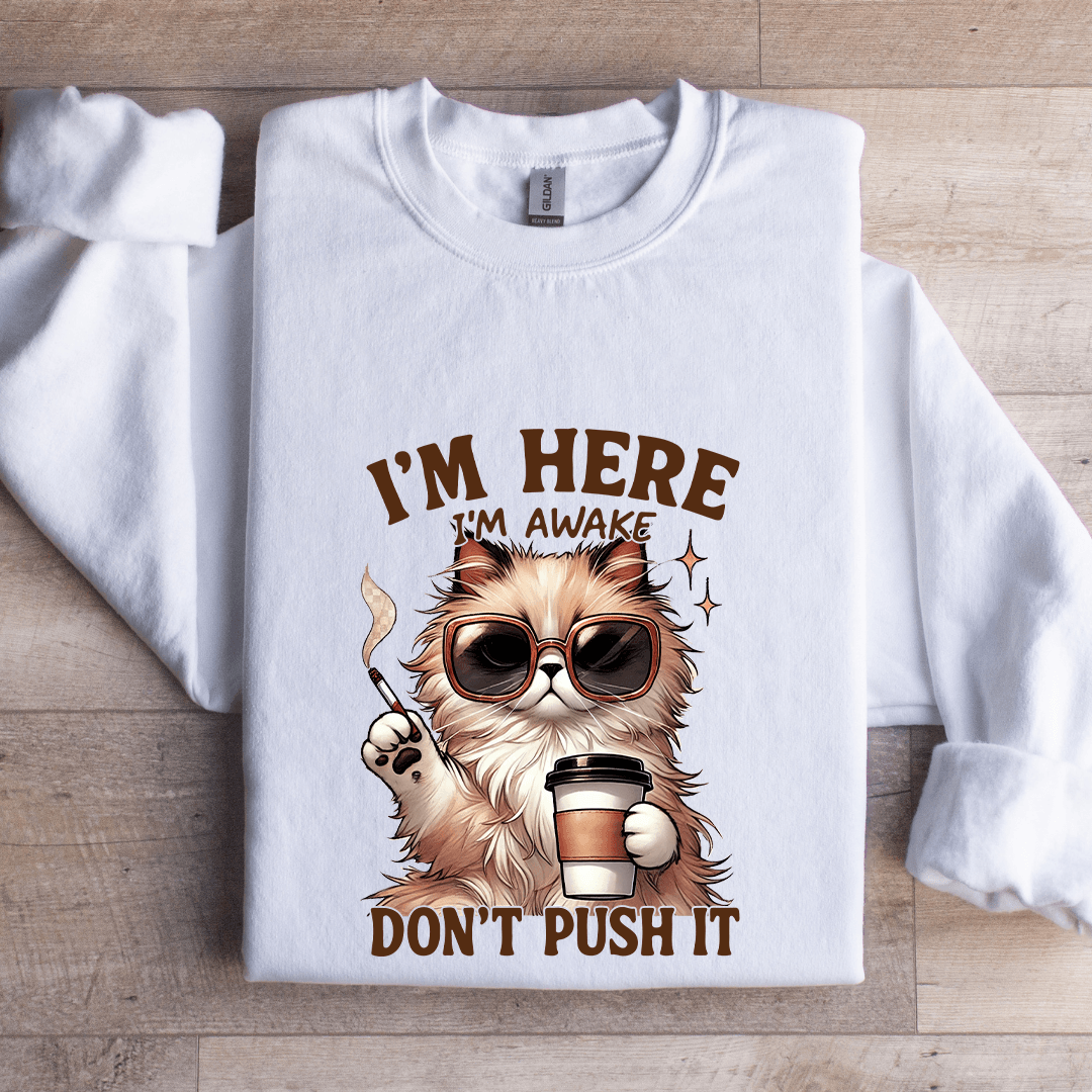 I'm Here I'm Awake Don't Push It Sweatshirt