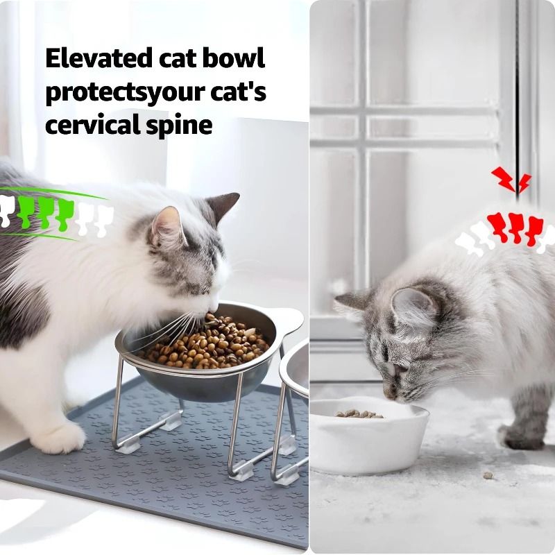 Stainless Steel Cat Bowl Elevated Tilted Cat Bowl Raised Pet Feeding Bowl