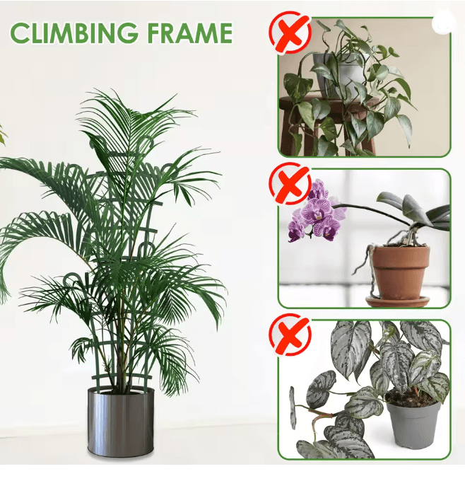 Garden Plant Climbing Trellis Set Reusable Vegetable Support Stakes for Pots