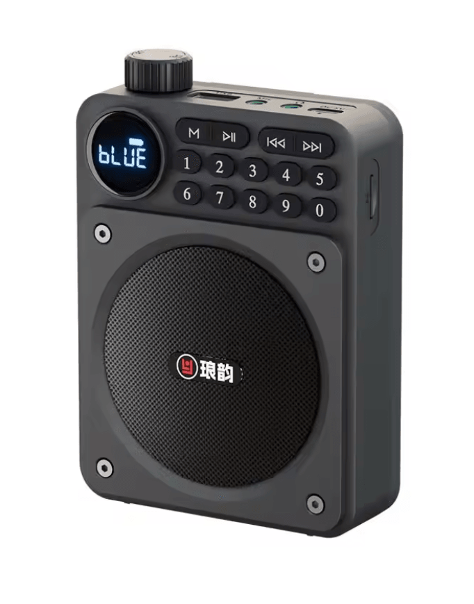 Mini Digital FM Radio Bluetooth Speaker with USB TF Card Display