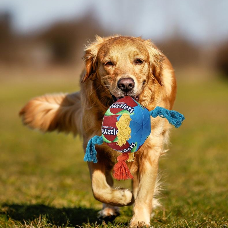Rainbow Twist Dog Chew Toy with Squeaker and Rope Dental Design