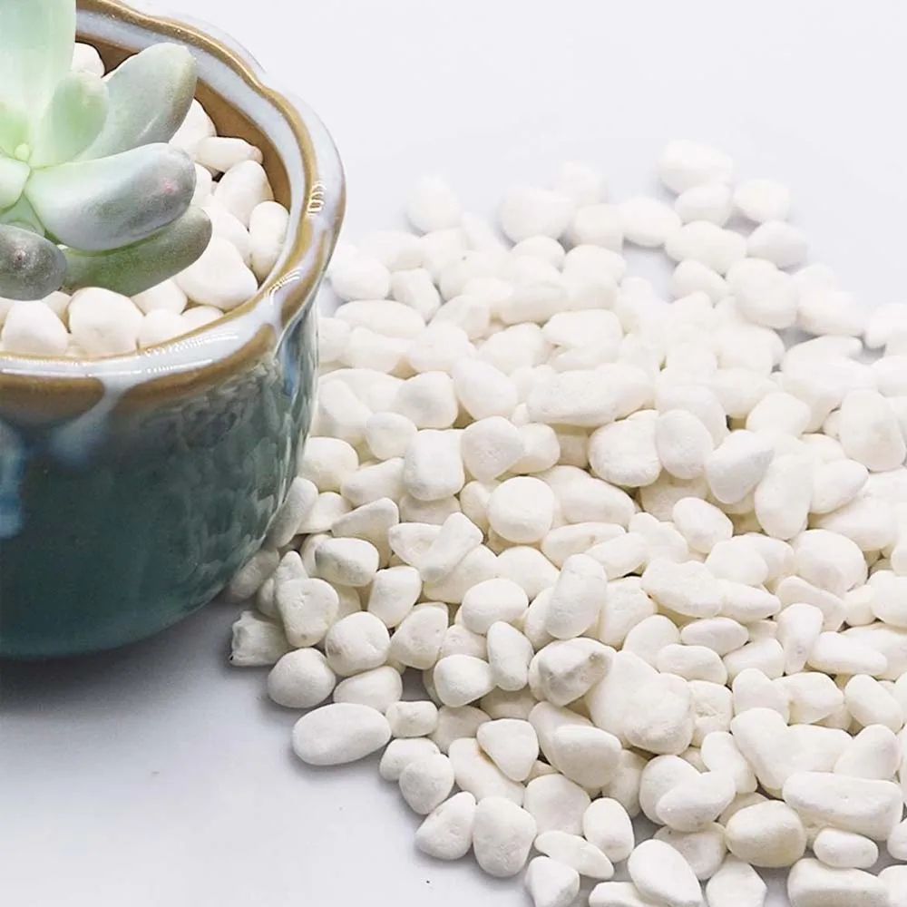 Decorative Pebble Stones for Plants and Crafts