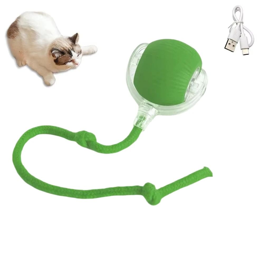 Automatic Rolling Ball Pet Toy Charging Smart Cat Dog Chase Toy