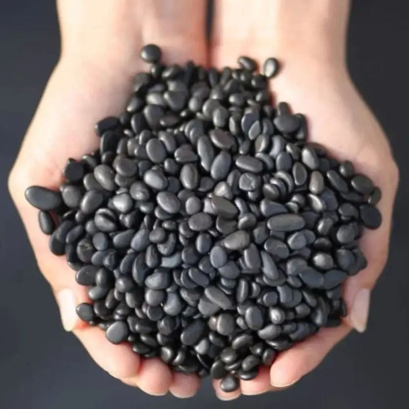 100g Natural Shungite Gravel | Healing Crystal Quartz for Chakra & Water Purification | Lucky Gemstone Home Decoration