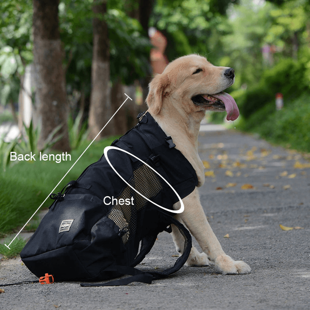 Breathable Dog Backpack