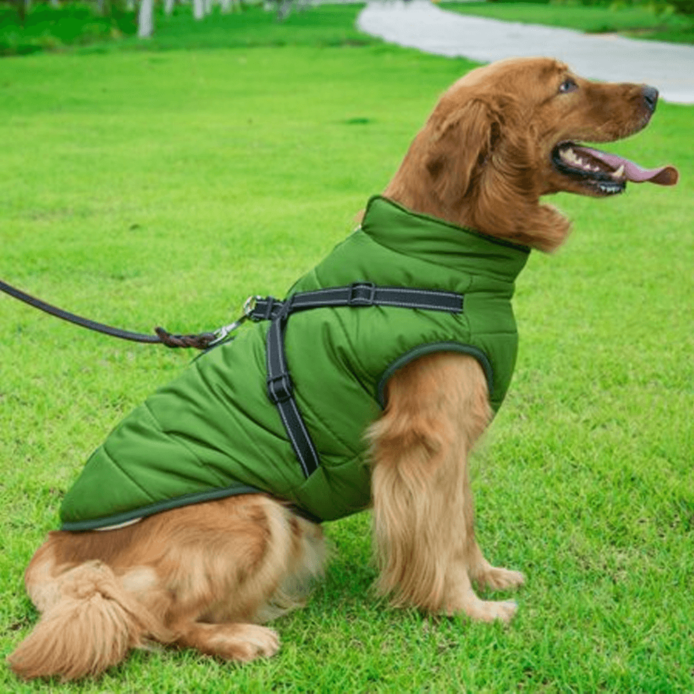Dog Coat With Zipper on Back