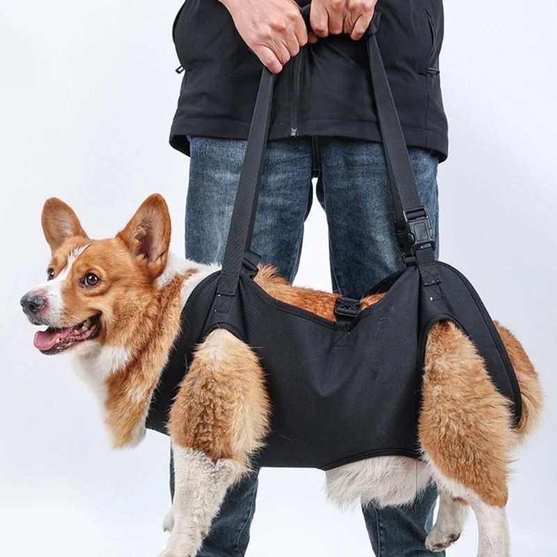 Dog Lift Support Harness for Injured or Elderly Dogs