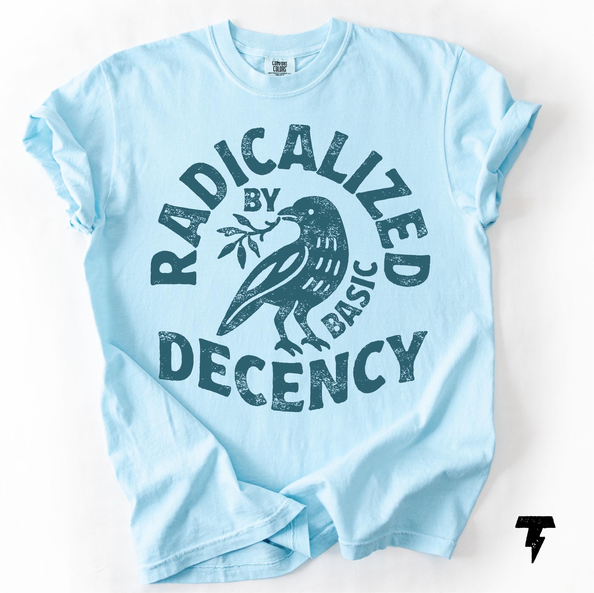 Radicalized By Basic Decency Shirt Social Justice Statement Graphic Tee Activist Outfit
