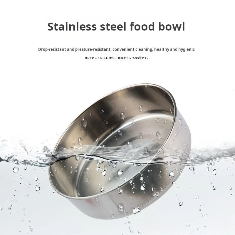 Double Cat Bowl Set with Automatic Water Dispenser