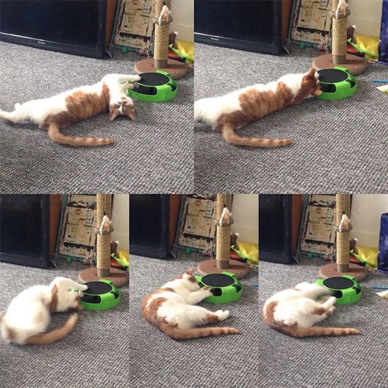 Interactive Cat Turntable Roller Toy with Scratcher and Track Ball