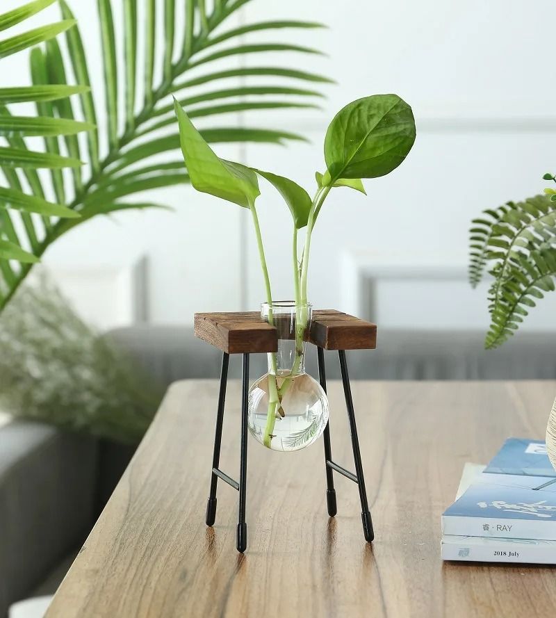 Hydroponic Plant Vase with Wooden Stand