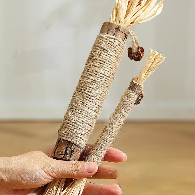 Catnip Cat Toys: Natural Matatabi Snacks Stick for Cats – Delivery & Care Tips