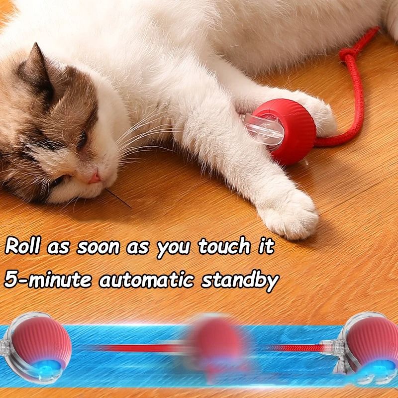 Cat Interactive Automatic Rolling Ball Toy