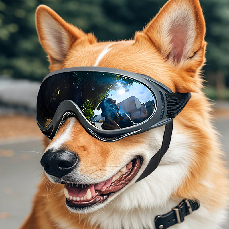 Windproof Dog Glasses Outdoor Pet Goggles for Large Dogs, UV Protection Dog Accessories for Riding, Hiking & Training