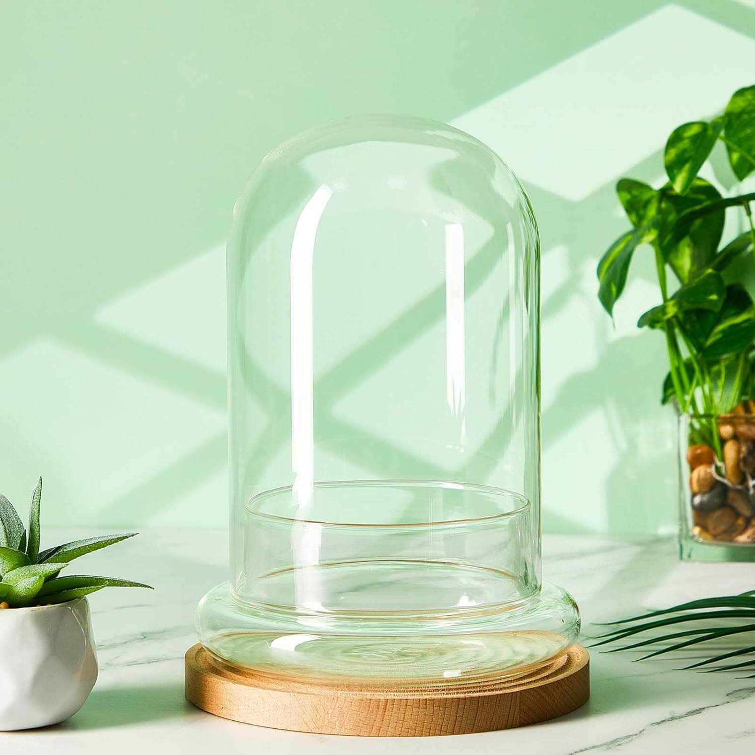 Elegant Glass Cloche Terrarium Dome with Base for Plant Display Case Decor