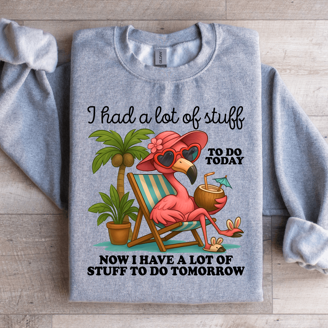 I Had A Lot Of Stuff To Do Today Sweatshirt