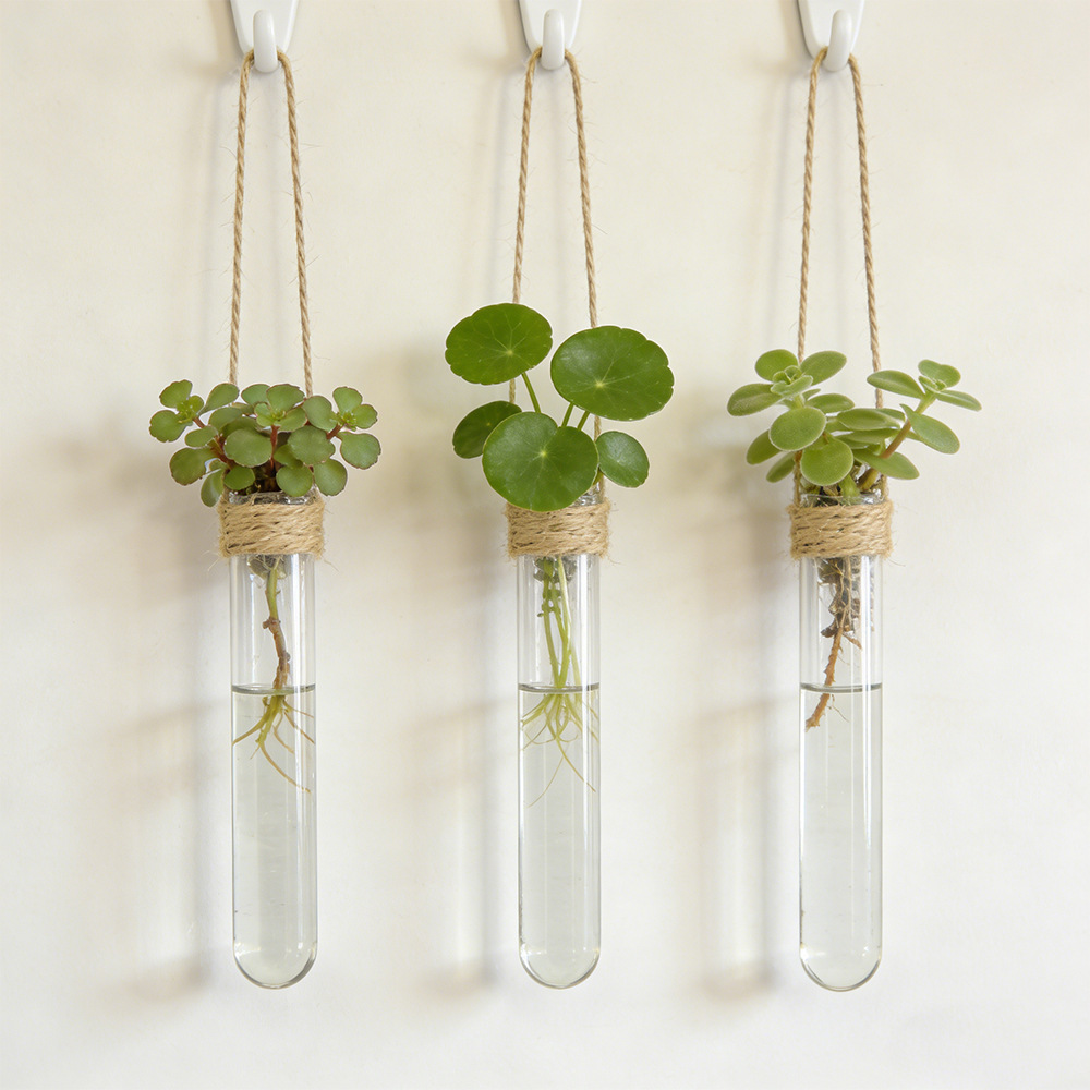 Wall Mounted Propagation Station Test Tube Vase for Hydroponic Plants