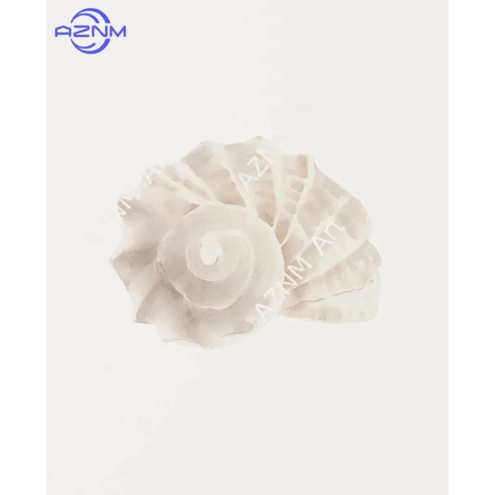 Coastal Seashell Wall Art Canvas Set Ocean Inspired Prints