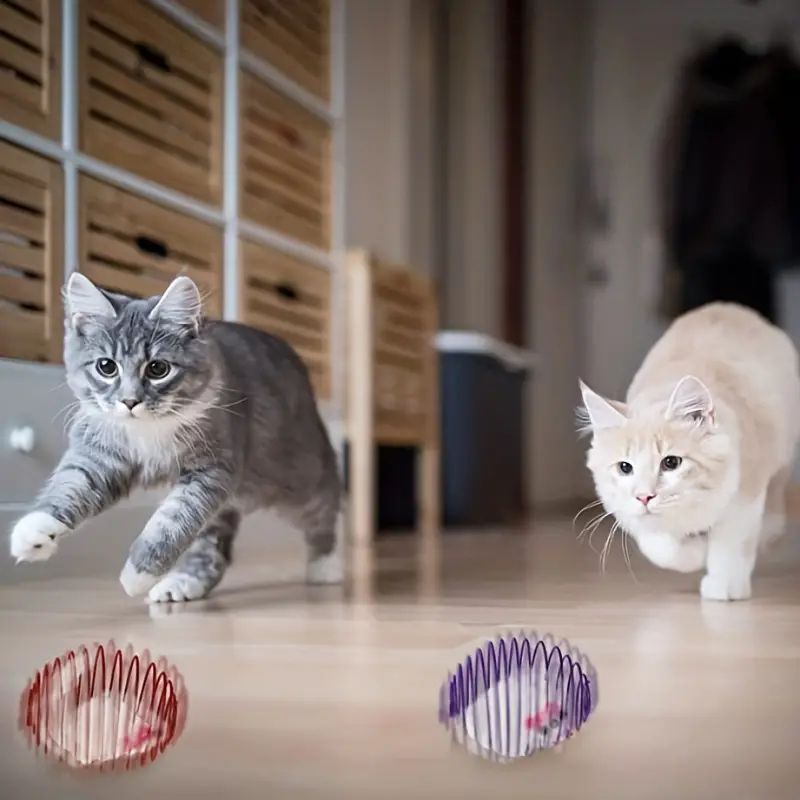 Cat Toy Balls: Interactive Kitten Springs & Rolling Toys - Delivery Details
