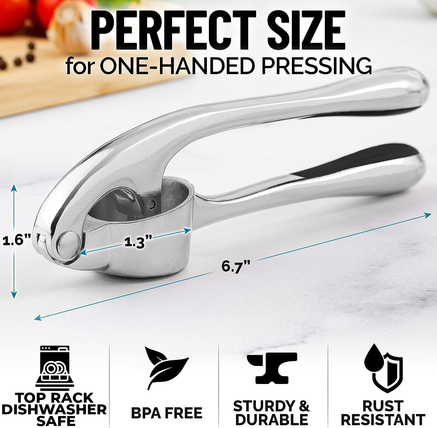 Stainless Steel Garlic Press Rocker Easy Clean Garlic Crusher & Kitchen Garlic Mincer