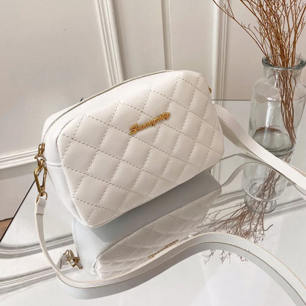 Fashionable Small Messenger Bag for Women with Trendy Embroidery Camera Style Shoulder Bag, and Chain Crossbody Strap